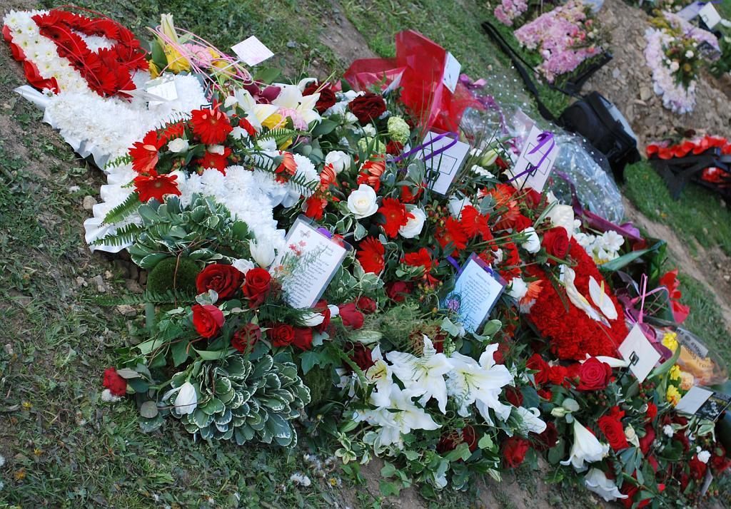 DSC_0332.jpg